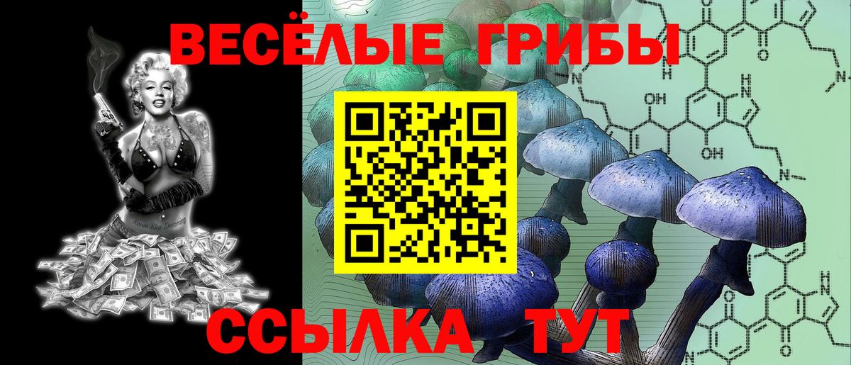 Клин  Галлюциногенные грибы мицелий  Вход с VPN 