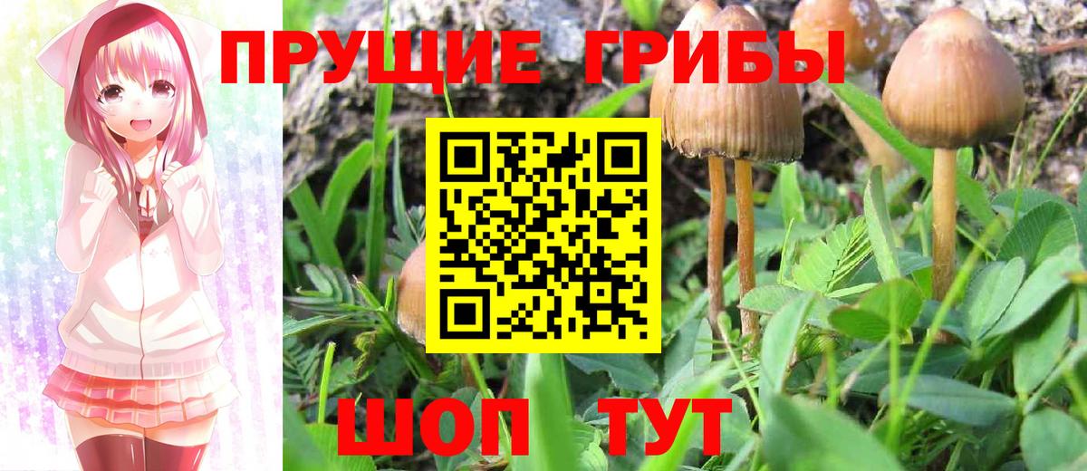 Галлюциногенные грибы Magic Shrooms Клин