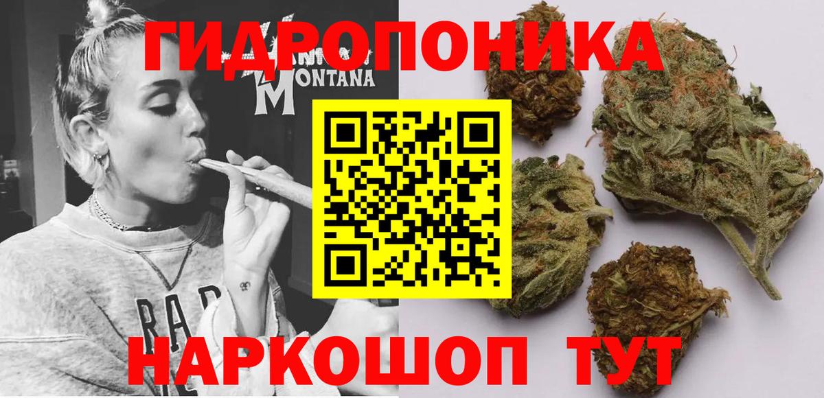 Шишки марихуана сатива  Вход с VPN  Клин  Канабис THC 21%  Каннабис Amnesia  Конопля тримм 